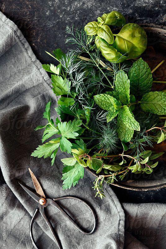 Sun-Kissed Bounty Veggie Ensemble